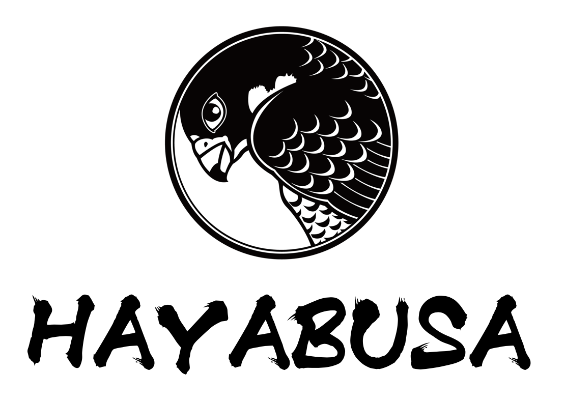 Hayabusa